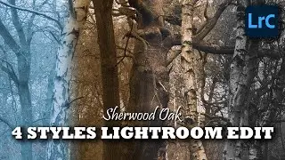 Sherwood Oak 4 Styles | Lightroom Edit