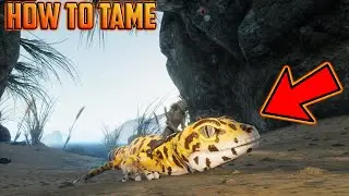Smalland Survive The Wilds: How To Tame A Gecko