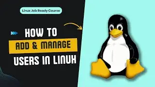 Master Linux User Management: Add and Manage Users in Linux | Linux Job Ready Course | Decrypt3r
