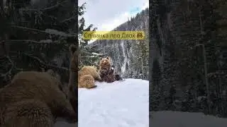 Співанка про двох ведмедів