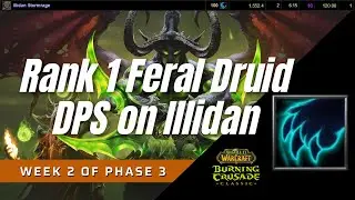 Rank 1 Feral Druid DPS on Illidan | Classic TBC