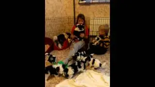 VIDEO0096