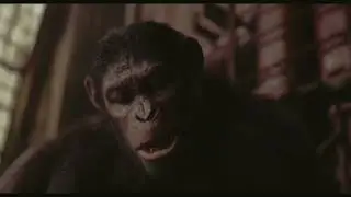 Ape not kill Ape