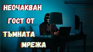 Истинска Страшна История за ТЪМНАТА МРЕЖА