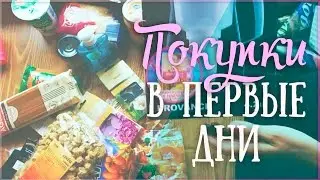 Болгария с OlTime: Первые покупки продуктов