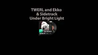 CS2 Music Kit - TWERL and Ekko & Sidetrack, Under Bight Light