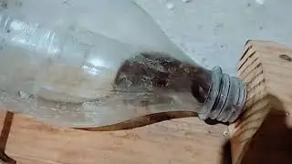 Cea mai simpla si eficiena capcana pentru soareci