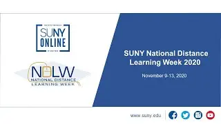 NDLW 2020: Using the Best Practices of Asynchronous Online Learning to Synchronous Online Learning