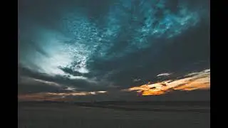 белые йожики