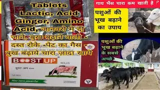 Boost Up Tablet ! for Animal Use जानवरो मे उपयोग की जाती है boost up tablets भुख बढ़ाये जानवरो की