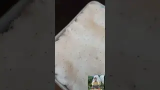 Как вырастить землянику