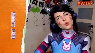 Best Video Coub november 2016 //Лучшие кубы за неделю
