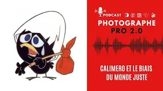 Calimero et le biais du monde juste