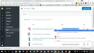 Shopify   Upload file and link to it from a page or product in Shopify