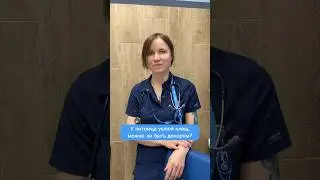У питомца ушной клещ, можно ли быть донором