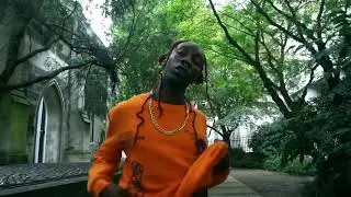 Reptile B - THG (Official Dance Video)