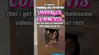 Reading My Favorite Unhinged Comments - Part 7