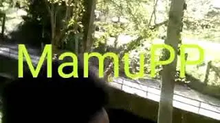 Mamu
