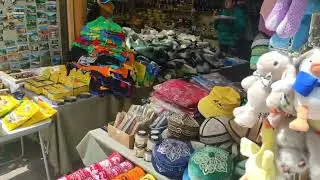 Поездка в горный Алтай по Чуйскому тракту.