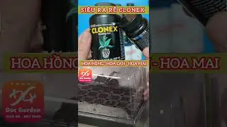 Clonex nhập Mỹ chuyên Hoa hồng, hoa mai, hoa lan