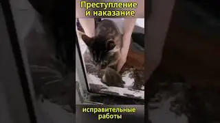 ИСПРАВИТЕЛЬНЫЕ РАБОТЫ, что это простыми словами?
