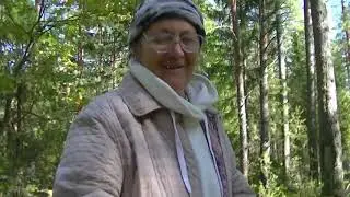 Лесная прогулка  2019