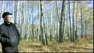 Сергей Сухачев   Девочка моя несмышленая