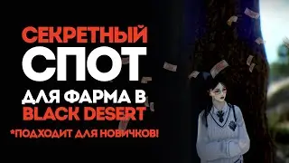 A SECRET FARMING SPOT IN BLACK DESERT ONLINE! EFFECTIVE FARMING FOR BOTH BEGINNERS AND EXPERIENCE...
