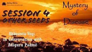 04 - Mystery of Disease - Other Seeds of Diseases