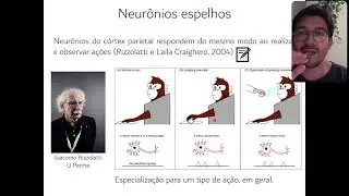 Aula 08 - Percepção visual e ação (parte 3)