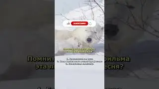 Пишите в комментариях! #перевод #переводчик #translation