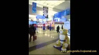 Гела в аэропорту. В Сочи, на олимпиаду! 02.02.2014.