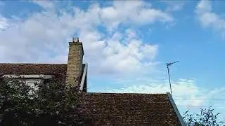 Circling sparrows in the sky