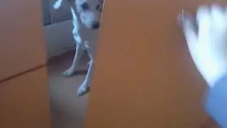 Как закрыть кору