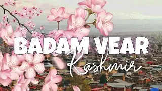 Badamwari | Srinagar Kashmir | Reshot Filming