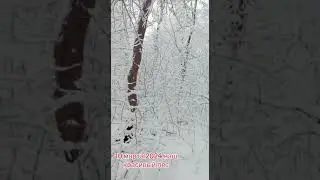 Весна пришла