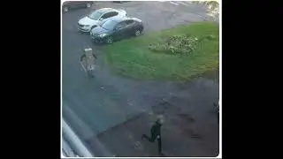 Самодоставка | @Domishow