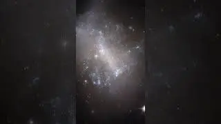 Hubble Space Telescope Data of 12 Mingling Galaxies 