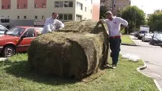 СтопХам - Газон