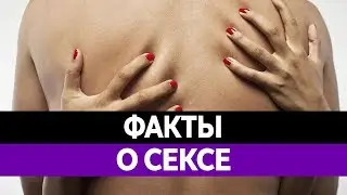 Вся ПРАВДА О СЕКСЕ! Интересные факты о сексе! Мифы о сексе