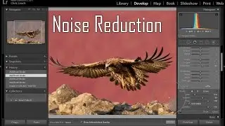 Adobe Lightroom Tips & Tricks - Noise Reduction (English Subtitles)