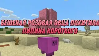БЕШЕНАЯ РОЗОВАЯ ОВЦА ПОХИТИЛА ПИПИНА КОРОТКОГО #2! МАЙНКРАФТ