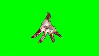 ФУТАЖ РУКИ ИЗ ТИК ТОК
