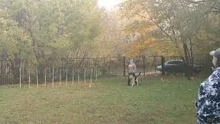 ПРК+ ВЕО РОСС ЗЕВС ГРОМОВЕРЖЕЦ