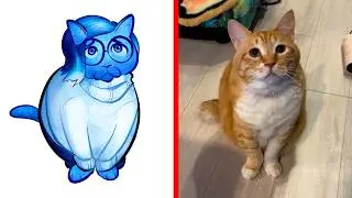Cat Memes: Inside Out 2 Unleashed 😂