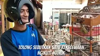 Setory paling kocak dan gokil banget.