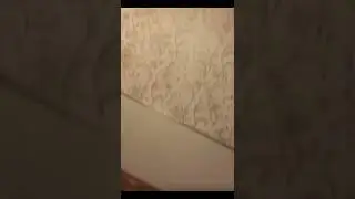 7 марта 2022 г.