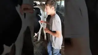 догнать Андрея Смаева(заруба)