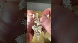 Tearing 3D printed soft trees apart 🌲