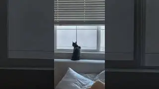 Kenzie - Livestream (Instagram)